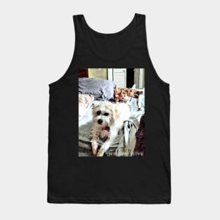 The Snuggler Tank Top